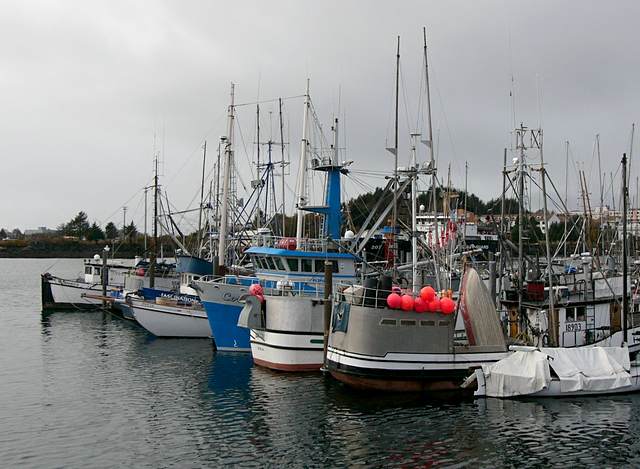 Commercial fishing harbor in Sitka Channel