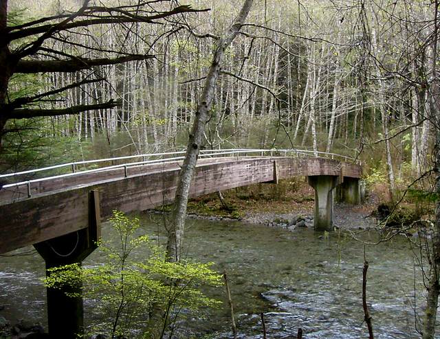 Footbridge across Indian River in the park.