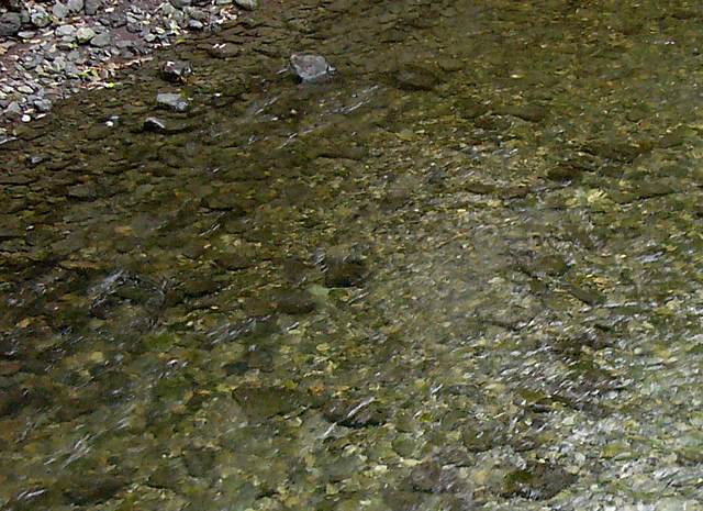 The Indian River is very shallow and rocky below the bridge