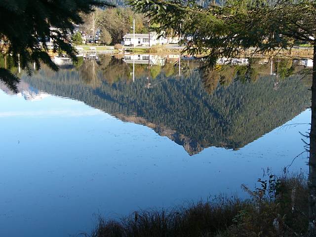 Looking east across Swan Lake