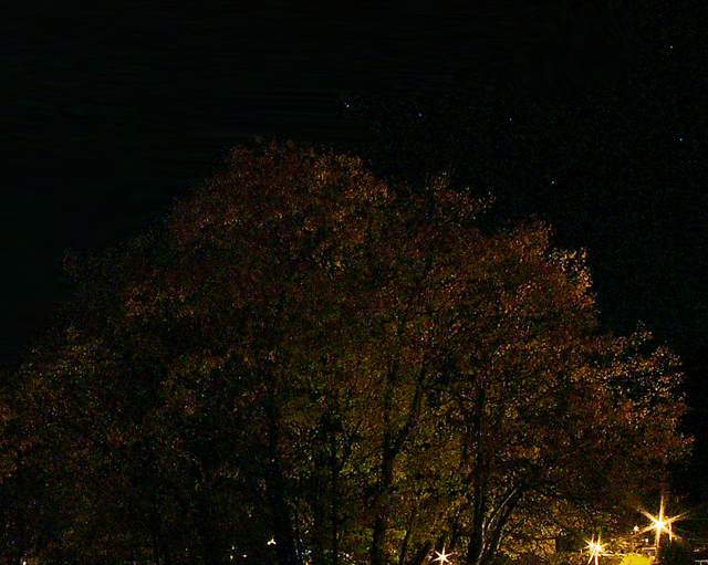 Another view of the Big Dipper, in part.